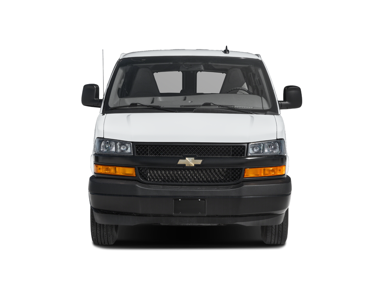 2025 Chevrolet Express Passenger 1LS