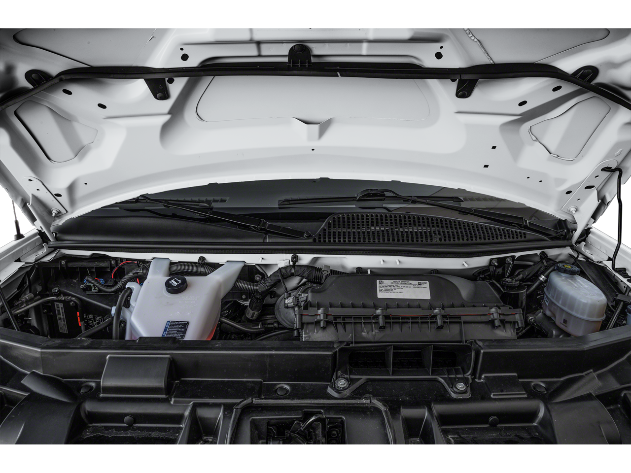 2025 Chevrolet Express Passenger 1LS