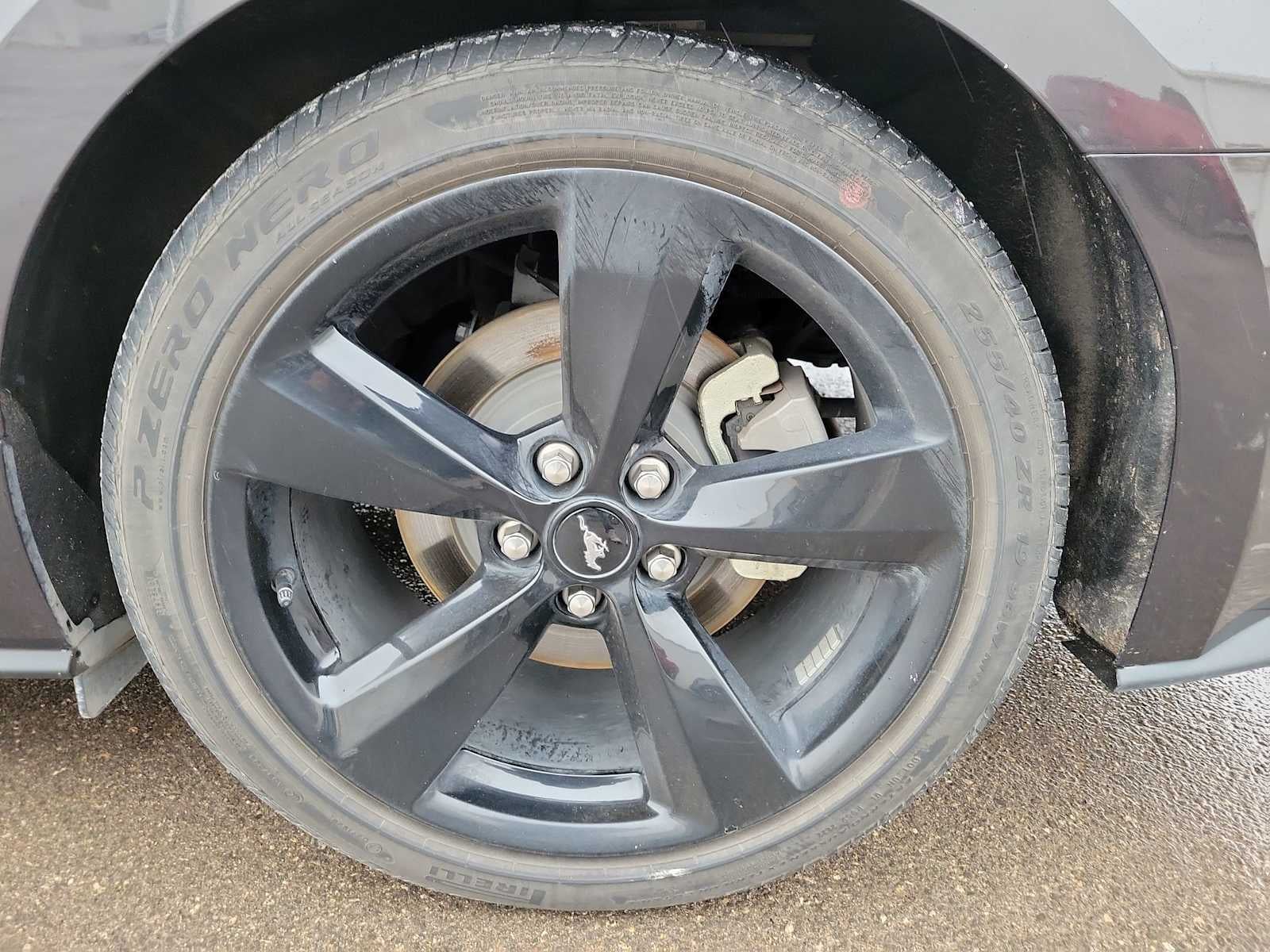 2022 Ford Mustang EcoBoost