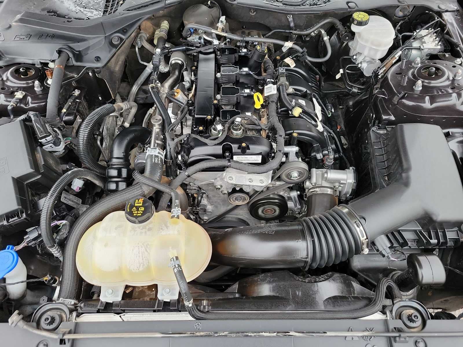 2022 Ford Mustang EcoBoost