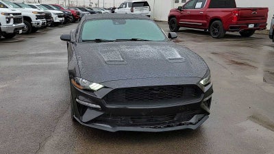 2022 Ford Mustang EcoBoost